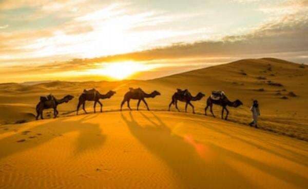 Alquran dan Sains Ungkap Ada 6 Makhluk Mitologi, Apa Saja? Alquran dan Sains Ungkap Ada 6 Makhluk Mitologi, Apa Saja?