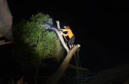 Angin Kencang, Dua Pohon di Bogor Tumbang Timpa Rumah Warga