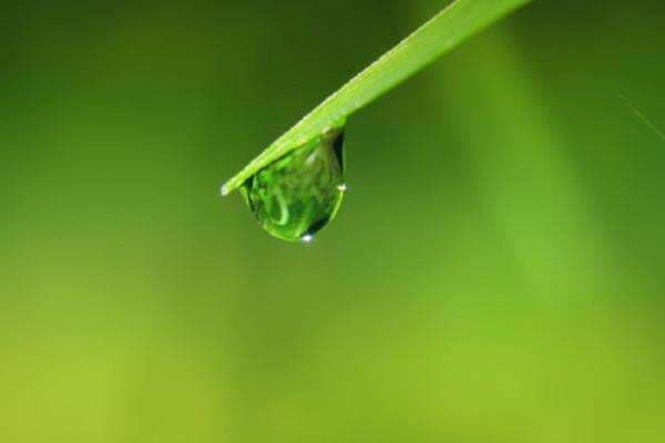 Apa Perbedaan Mani, Wadi dan Madzi? Apa Perbedaan Mani, Wadi dan Madzi?