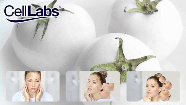 Apa Itu White Tomato? Kandungan Skincare yang Viral usai Di-klaim Produk Dokter Richard Apa Itu White Tomato? Kandungan Skincare yang Viral usai Di-klaim Produk Dokter Richard