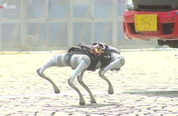 Atraksi Robot Anjing AI K9 di HUT ke-79 Bhayangkara, Bisa Deteksi Bom Atraksi Robot Anjing AI K9 di HUT ke-79 Bhayangkara, Bisa Deteksi Bom