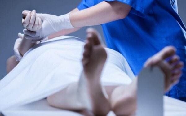 WNA China Tewas usai Jatuh dari Lantai 35 Apartemen di Pademangan Jakut WNA China Tewas usai Jatuh dari Lantai 35 Apartemen di Pademangan Jakut