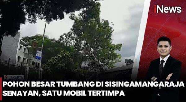 Detik-Detik Pohon Raksasa Tumbang di Jalan Sisingamangaraja, Mobil Tertimpa Detik-Detik Pohon Raksasa Tumbang di Jalan Sisingamangaraja, Mobil Tertimpa