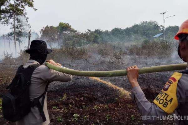 Brimob Polda Kalbar Gerak Cepat Padamkan Kebakaran Lahan Gambut di Kubu Raya Brimob Polda Kalbar Gerak Cepat Padamkan Kebakaran Lahan Gambut di Kubu Raya