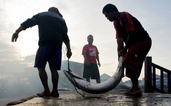 Menteri KKP Laporkan Progres Kampung Nelayan ke Prabowo Menteri KKP Laporkan Progres Kampung Nelayan ke Prabowo