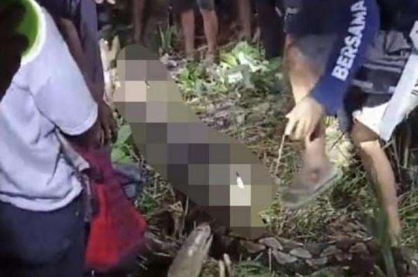 Tragis! Nenek di Sidrap Ditemukan dalam Perut Ular Piton 8 Meter saat Dibelah Tragis! Nenek di Sidrap Ditemukan dalam Perut Ular Piton 8 Meter saat Dibelah