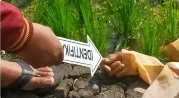 Jebakan Tikus Beraliran Listrik Renggut Nyawa Petani di Desa Kedungsekar, Benjeng Jebakan Tikus Beraliran Listrik Renggut Nyawa Petani di Desa Kedungsekar, Benjeng