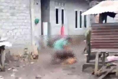 Diserang Babi Hutan, Ibu dan Anak Alami Luka hingga Kritis Diserang Babi Hutan, Ibu dan Anak Alami Luka hingga Kritis