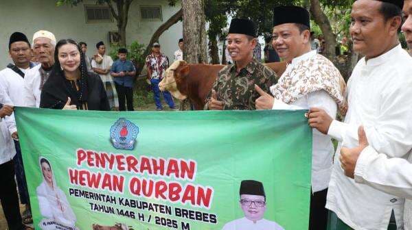 Bantuan 18 Hewan Kurban Diserahkan, Bupati Minta Pengemasan Tak Gunakan Pelastik Bantuan 18 Hewan Kurban Diserahkan, Bupati Minta Pengemasan Tak Gunakan Pelastik