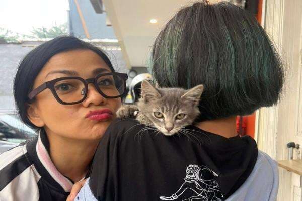 Bak Keluarga Besar, Nirina Zubir Pelihara 24 Kucing di Rumah Bak Keluarga Besar, Nirina Zubir Pelihara 24 Kucing di Rumah