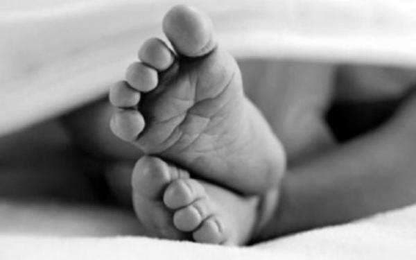 Balita Terjatuh dari Lantai 17 Apartemen Kalibata City saat Ditinggal Ambil Paket Balita Terjatuh dari Lantai 17 Apartemen Kalibata City saat Ditinggal Ambil Paket