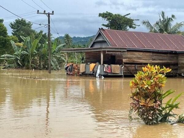 Banjir di Wajo, BNPB: 1 Warga Meninggal, 12.931 Jiwa Terdampak