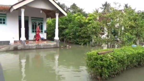 Air Sungai Meluap Diguyur Hujan Deras, Permukiman Warga Jember Kebanjiran Air Sungai Meluap Diguyur Hujan Deras, Permukiman Warga Jember Kebanjiran