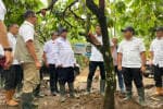 Banyuwangi Kini Punya Pusat Penelitian dan Pengembangan Kakao Berkelanjutan Banyuwangi Kini Punya Pusat Penelitian dan Pengembangan Kakao Berkelanjutan