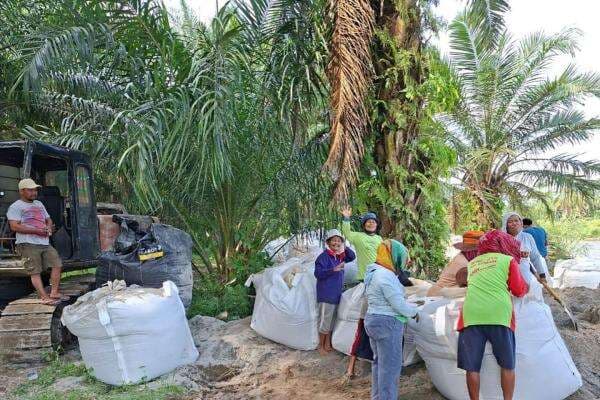 Bareng Warga Gotong Royong Perbaiki Irigasi di Batu Bara Sumut, Legislator Perindo: Ini Wujud Solidaritas dan Kepedulian Bareng Warga Gotong Royong Perbaiki Irigasi di Batu Bara Sumut, Legislator Perindo: Ini Wujud Solidaritas dan Kepedulian