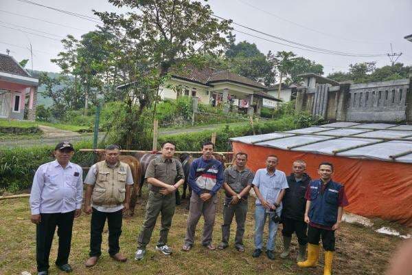 BCE Sumbang 7 Sapi Kurban untuk Warga Sukabumi, Wujud Kepedulian Sosial di Iduladha 2025 BCE Sumbang 7 Sapi Kurban untuk Warga Sukabumi, Wujud Kepedulian Sosial di Iduladha 2025