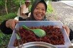 Belalang Goreng di Gunungkidul Diburu Wisatawan, Gara-gara Dadan Hindayana? Belalang Goreng di Gunungkidul Diburu Wisatawan, Gara-gara Dadan Hindayana?