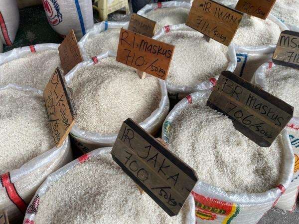 Alasan Kelangkaan Beras di Pasaran, Bapanas: Petani Tak Langsung Jual Tapi Disimpan Alasan Kelangkaan Beras di Pasaran, Bapanas: Petani Tak Langsung Jual Tapi Disimpan