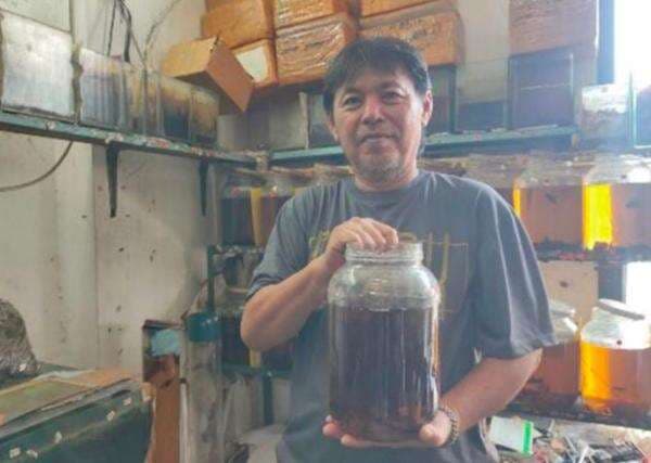 Berawal dari Hobi, Pengusaha Ikan Hias Untung hingga Puluhan Juta Berawal dari Hobi, Pengusaha Ikan Hias Untung hingga Puluhan Juta