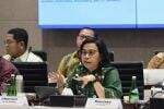 Beredar 7 Sosok Pengganti Menkeu Sri Mulyani, Pengamat Ungkap Kriteria Ideal Beredar 7 Sosok Pengganti Menkeu Sri Mulyani, Pengamat Ungkap Kriteria Ideal