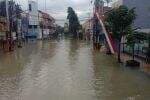 BNPB: Banjir Grobogan Meluas, 113 Desa Terdampak dan 667 Jiwa Mengungsi