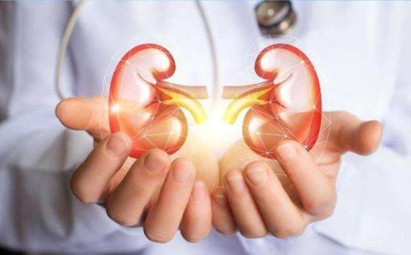 Bolehkah Pasien Gagal Ginjal Melakukan Perjalanan Mudik? Ini Tips dari Dokter Bolehkah Pasien Gagal Ginjal Melakukan Perjalanan Mudik? Ini Tips dari Dokter