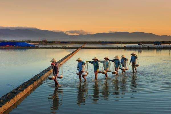 Geliatkan Sektor Produksi, BRI Salurkan KUR Rp69,8 Triliun ke 8,3 Juta Pelaku Usaha Geliatkan Sektor Produksi, BRI Salurkan KUR Rp69,8 Triliun ke 8,3 Juta Pelaku Usaha