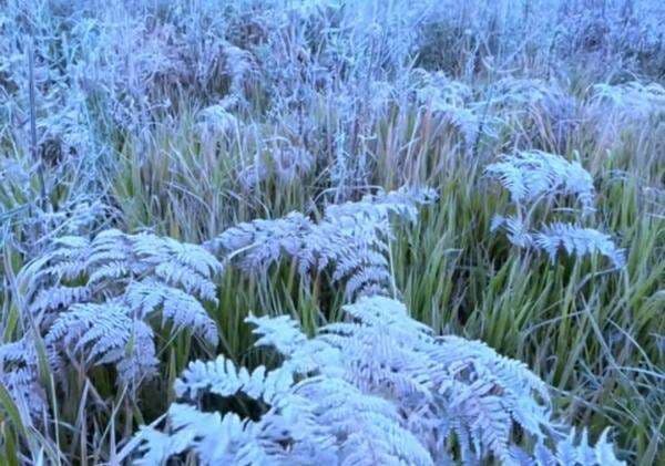 Bromo Bersalju: Selimut Kristal Es Ajaib Selimuti Lautan Pasir, Pertanda Apa? Bromo Bersalju: Selimut Kristal Es Ajaib Selimuti Lautan Pasir, Pertanda Apa?