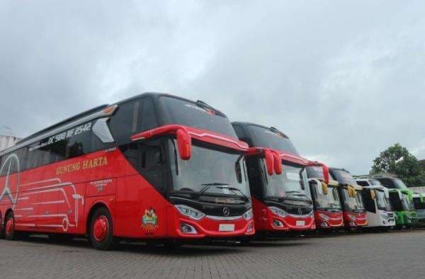 Bus Gunung Harta Jurusan Apa Saja? Ini Jawabannya Bus Gunung Harta Jurusan Apa Saja? Ini Jawabannya