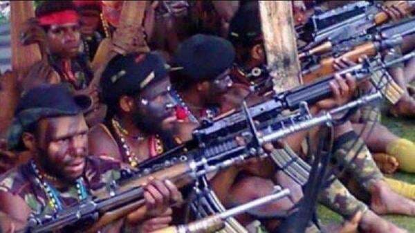 Brutal! KKB Pimpinan Aibon Kogoya Tembaki Warga di Nabire, 1 Tewas dan 4 Luka Brutal! KKB Pimpinan Aibon Kogoya Tembaki Warga di Nabire, 1 Tewas dan 4 Luka