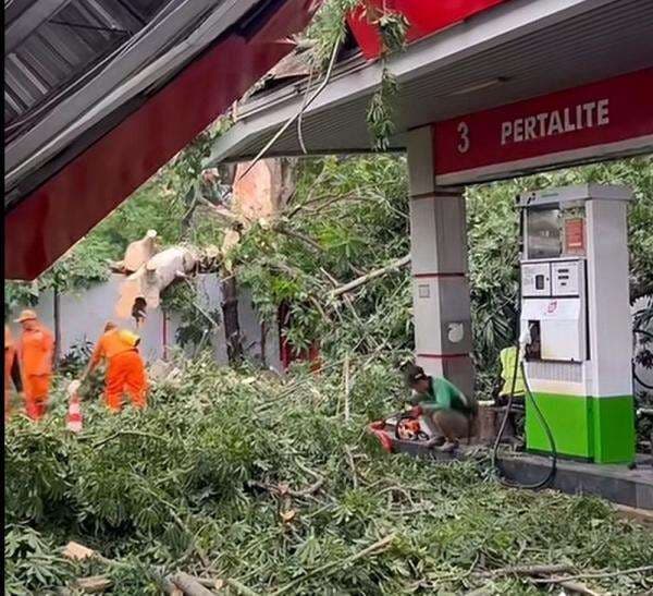 Detik-Detik Pohon Tumbang Timpa SPBU di Senen gegara Hujan dan Angin Kencang Detik-Detik Pohon Tumbang Timpa SPBU di Senen gegara Hujan dan Angin Kencang