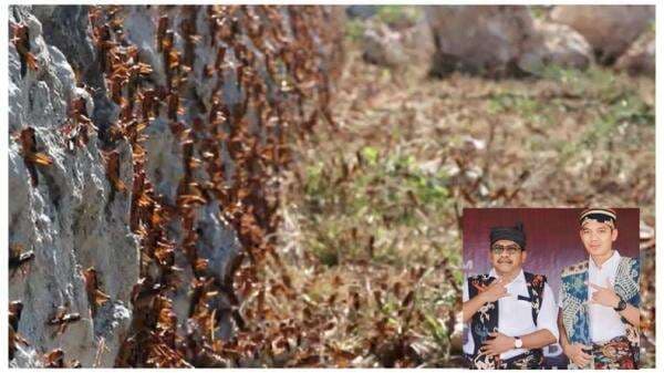 Bupati Sumba Timur Suarakan Perubahan Iklim: Koppesda Minta Semua Pihak Jangan Sekadar Retorika Bupati Sumba Timur Suarakan Perubahan Iklim: Koppesda Minta Semua Pihak Jangan Sekadar Retorika