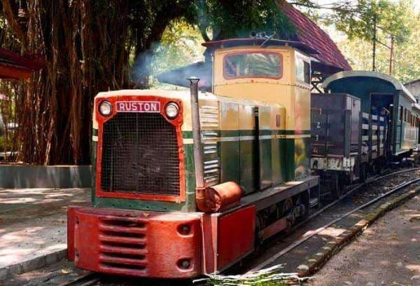 3 Tempat Wisata di Cepu, Cocok untuk Keluarga dan Anak Muda 3 Tempat Wisata di Cepu, Cocok untuk Keluarga dan Anak Muda