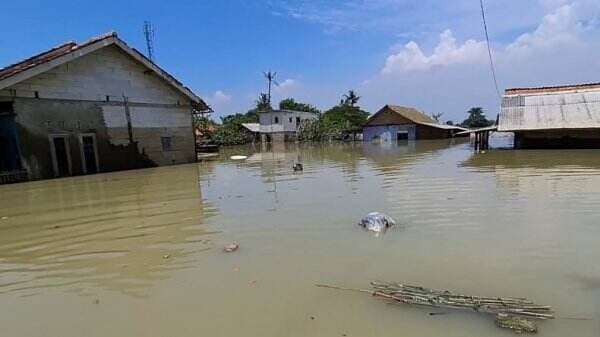 3 Daerah Rawan Banjir di Karawang, Ternyata Penyebab Utamanya Adalah Hal Ini! 3 Daerah Rawan Banjir di Karawang, Ternyata Penyebab Utamanya Adalah Hal Ini!