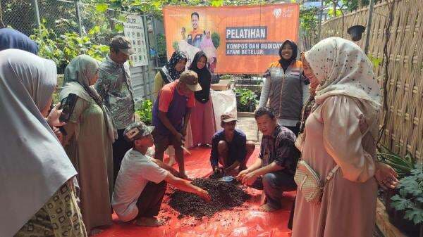 BUMMas Solot Berkah Gelar Pelatihan Pembuatan Kompos dan Budidaya Ayam Petelur BUMMas Solot Berkah Gelar Pelatihan Pembuatan Kompos dan Budidaya Ayam Petelur