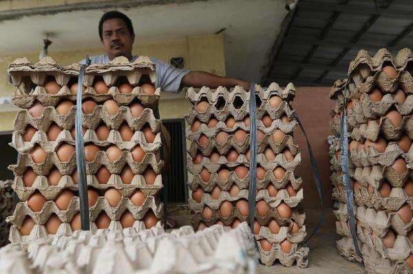 Telur hingga Daging Ayam Ras Jadi Penyumbang Utama Inflasi Oktober 2025 Telur hingga Daging Ayam Ras Jadi Penyumbang Utama Inflasi Oktober 2025