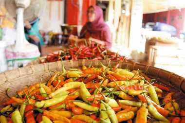 Harga Pangan Hari Ini, Cabai Merah dan Minyak Goreng Naik Harga Pangan Hari Ini, Cabai Merah dan Minyak Goreng Naik