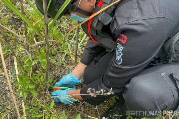 Detik-Detik Gegana Brimob Polda Jabar Amankan Mortir di Permukiman Bandung Barat Detik-Detik Gegana Brimob Polda Jabar Amankan Mortir di Permukiman Bandung Barat