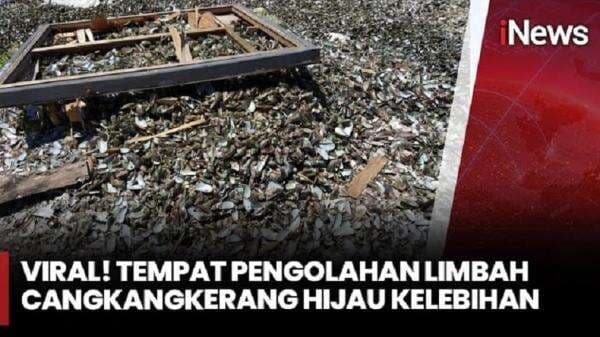 Tumpukan Limbah Cangkang Kerang Hijau di Cilincing Mengkhawatirkan Tumpukan Limbah Cangkang Kerang Hijau di Cilincing Mengkhawatirkan