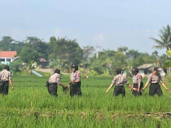 Cara Siswa Polwan Ikut Terlibat Dukung Program Asta Cita Pemerintah Cara Siswa Polwan Ikut Terlibat Dukung Program Asta Cita Pemerintah