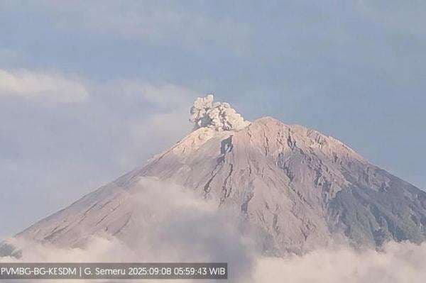 Gunung Semeru Erupsi Beruntun hingga 7 Kali sampai Pagi Ini, Kolom Abu Capai 800 Meter Gunung Semeru Erupsi Beruntun hingga 7 Kali sampai Pagi Ini, Kolom Abu Capai 800 Meter