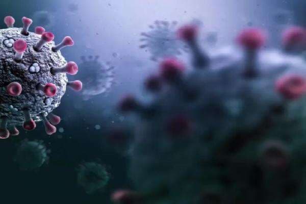 Covid-19 Meningkat di Singapura, Thailand, dan Hong Kong, Kemenkes: Indonesia Aman Covid-19 Meningkat di Singapura, Thailand, dan Hong Kong, Kemenkes: Indonesia Aman