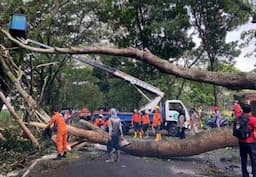 Cuaca Ekstrem Intai Lebaran 2024, Pohon di Jalur Mudik Malang Dipangkas