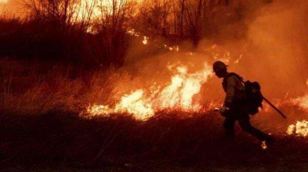 Polisi Tangkap Dirut Terra Drone Imbas Kebakaran yang Menewaskan 22 Orang Polisi Tangkap Dirut Terra Drone Imbas Kebakaran yang Menewaskan 22 Orang