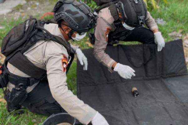 Granat Nanas Ditemukan di Kebun Jagung Warga Tegal, Gegana Langsung Turun Tangan Granat Nanas Ditemukan di Kebun Jagung Warga Tegal, Gegana Langsung Turun Tangan