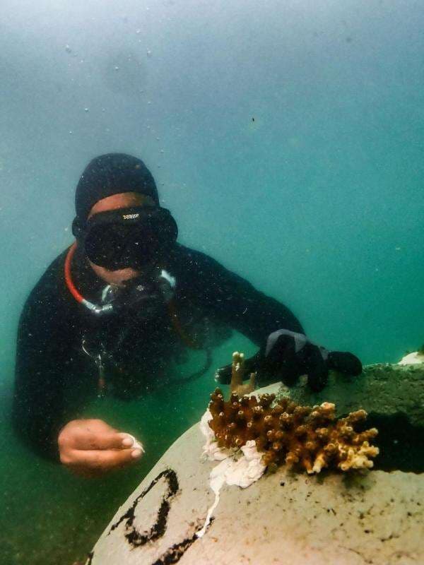 Harta Karun Bawah Laut Karawang : Karang, Kapal VOC dan Harapan Nelayan Pesisir Harta Karun Bawah Laut Karawang : Karang, Kapal VOC dan Harapan Nelayan Pesisir