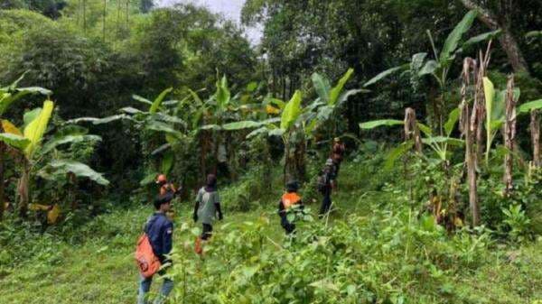 Hari Ketiga Pencarian, Wanita Hilang di Hutan Makamdawa Belum Ditemukan Hari Ketiga Pencarian, Wanita Hilang di Hutan Makamdawa Belum Ditemukan