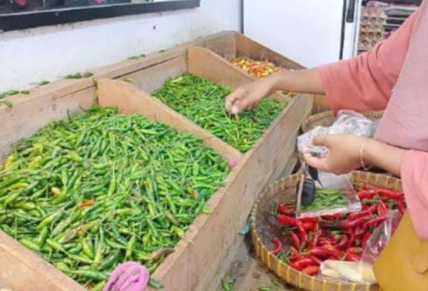 Ini Kata Pedagang Cabe di Pasar Baru Indramayu Imbas Kenaikan Harga Ini Kata Pedagang Cabe di Pasar Baru Indramayu Imbas Kenaikan Harga
