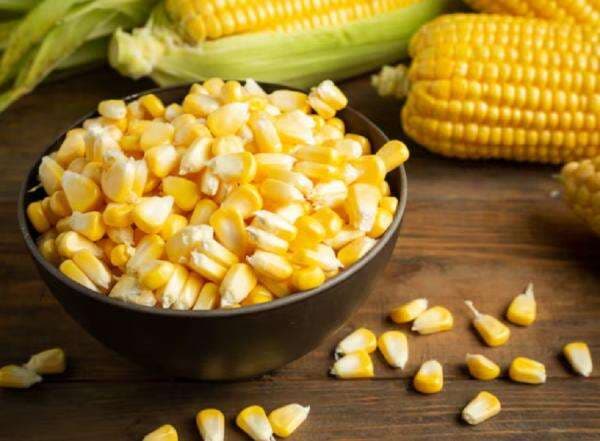 Lagi Viral Jajanan Rebus-rebusan, Ini Lho Manfaatnya Buat Tubuh Lagi Viral Jajanan Rebus-rebusan, Ini Lho Manfaatnya Buat Tubuh