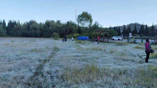 Embun Es Kembali Selimuti Dieng, Suhu Minus 1 Derajat Celsius Embun Es Kembali Selimuti Dieng, Suhu Minus 1 Derajat Celsius